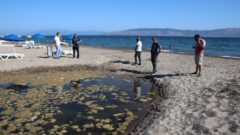 Bodrum Belediyesi’nden Azmağa Cansuyu