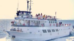 Bodrum’dan Didim’e Feribot Seferleri ve Fiyatlar