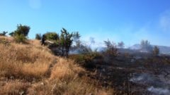 Bodrum’da Yangın