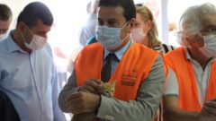 Yalıkavağa Kısırlaştırma Merkezi Açıldı