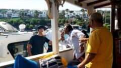 Bu Cesaret Nereden Geliyor