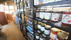 TARKO Şubeleri Artıyor