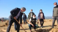 Hafriyat Alanına 2 Bin Fidan Dikildi