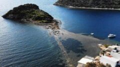 Gümüşlük’te Tarihi Kral Yolu Ortaya Çıktı